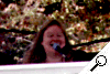 Live at the Gazebo